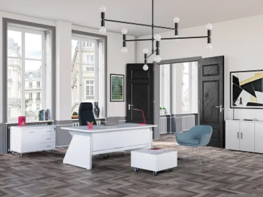 Yönetici Takımları