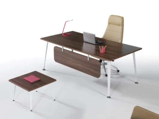 Yönetici Takımları