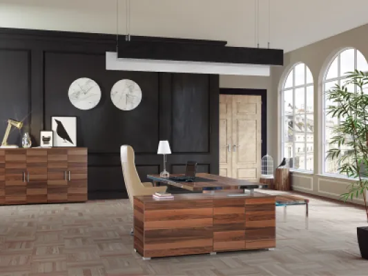 Yönetici Takımları